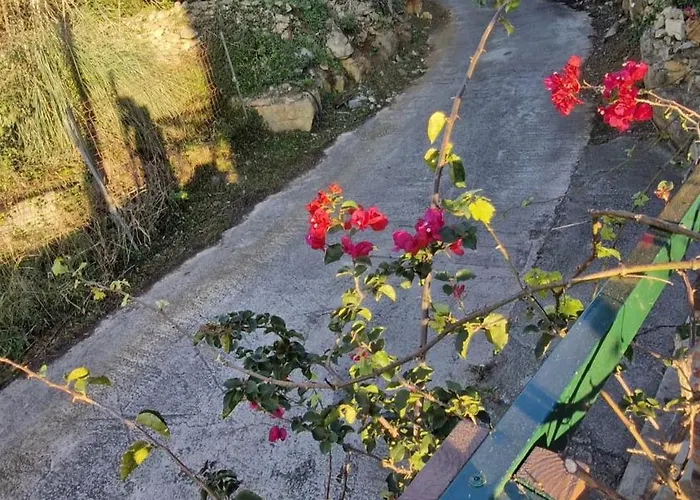 Apartment Serendipia 52 *