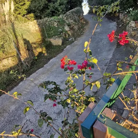 Apartmán Serendipia 52 *